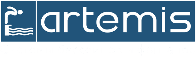 Артемис Пул Системс