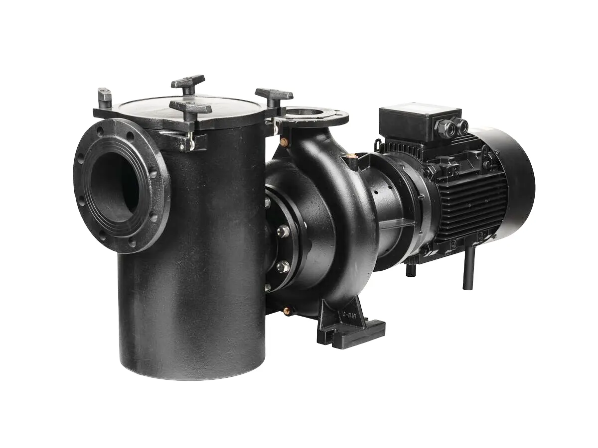 Aral Plus C-1500 Cast Iron Centrifugal Pump