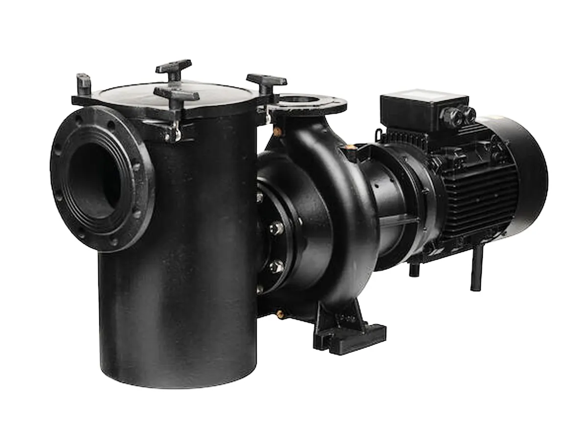 Aral Plus C-3000 Cast Iron Centrifugal Pump