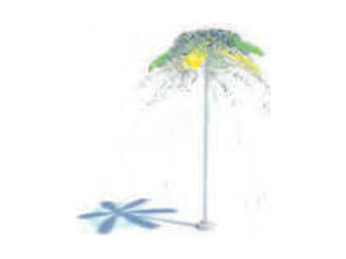 Palm Tree Water Play Feature