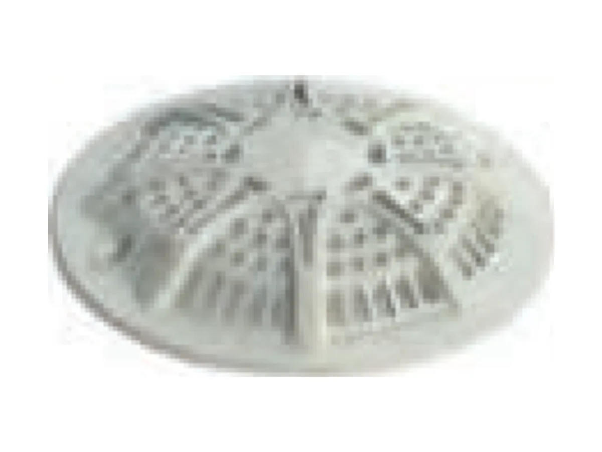 AstralPool Norm and Ø 200 Drain Grates